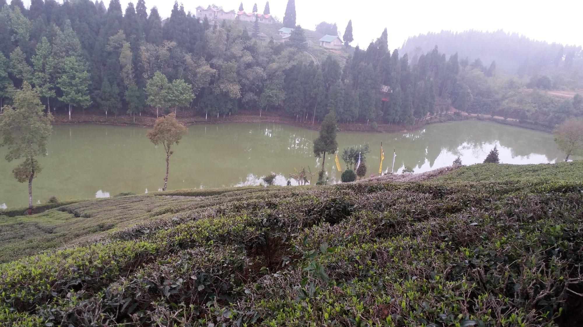 The hills around Shree Antu in Ilam district, eastern Nepal.